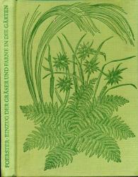 Einzug der Gräser und Farne in die Gärten