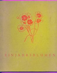 Einjahresblumen