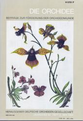 Die Orchidee. Zeitschrift der Deutschen Orchideen-Gesellschaft. Hier: Jahrgang 33, Heft 3 (Mai 1982)