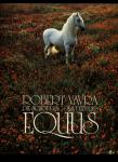 Equus. Die Schöpfung des Pferdes