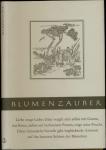 Blumenzauber. Eine chinesische Novelle