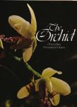 The Orchid